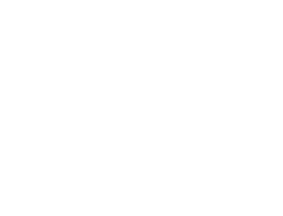 Vital Valor Staffing